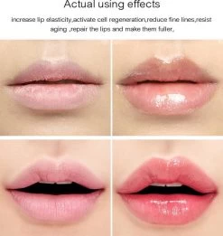 Karité SOS Lip Plumping Gloss - Lip Plumper - Vollere Lippen - Collageen - Argan Olie - Gehydrateerde Lippen - Lipgloss -Make-Up Poeder Verkoop 1137x1200 2