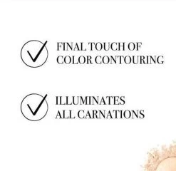 Bourjois Le Petit Strober Highlighter - 00 Universal Glow -Make-Up Poeder Verkoop 1200x1164 14