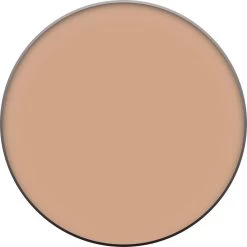 Clinique Almost Powder SPF 15 - Light - Make-uppoeder -Make-Up Poeder Verkoop 1200x1200 156
