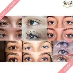 Iconsign® Wimperlifting Set / Lash Lift Kit - 25-Delige - Setje LashGo® Nep Wimpers Inbegrepen - Natuurlijk Wimper Krullen - Wimperliftingset -Make-Up Poeder Verkoop 1200x1200 615